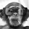 Ein Schimpansesporträt, in dem er eine Brille trägt und eine rauchende Zigarette im Maul hält.