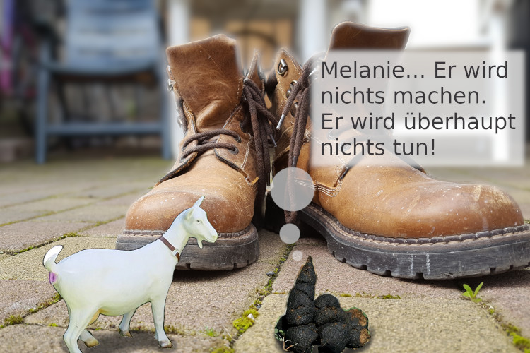 Eine Kacke vor Schuen traut sich stark zu sein.